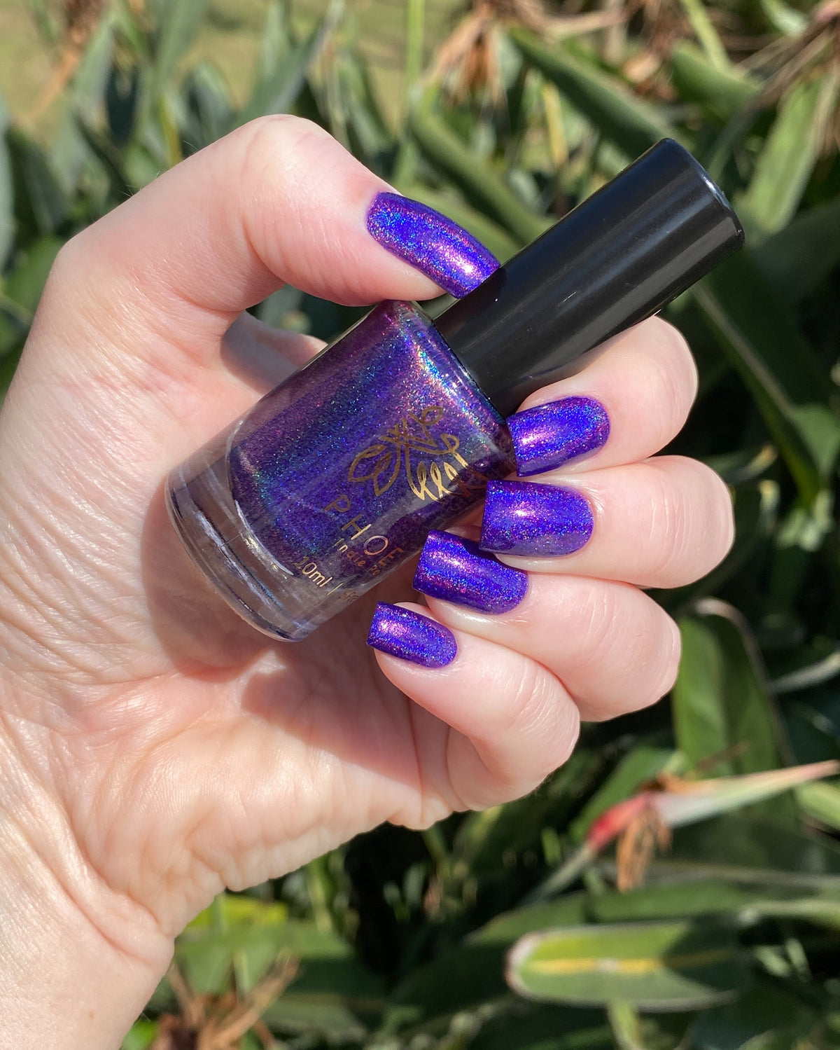 Phoenix- Paint the Town Red- Rebekah