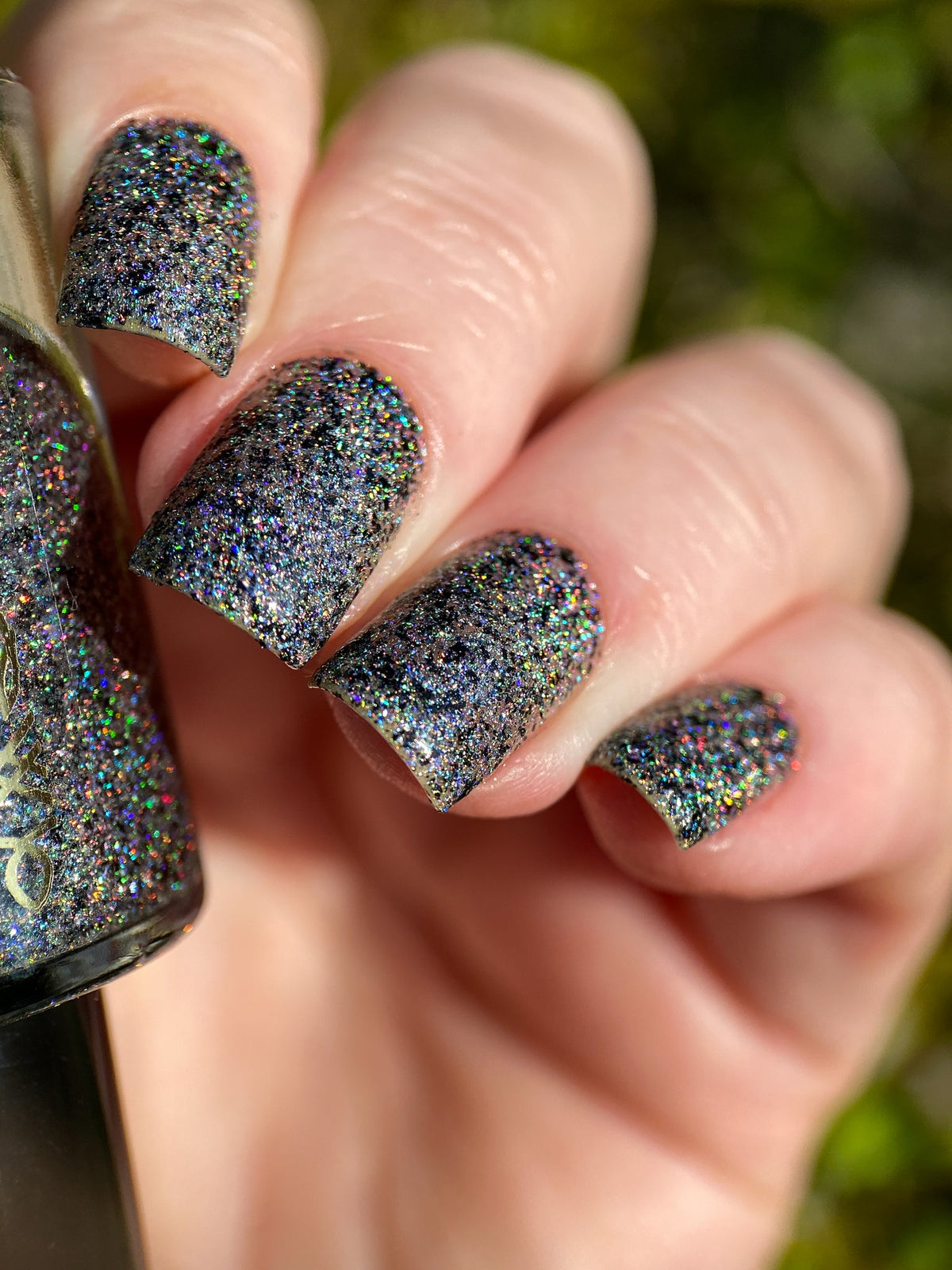 Phoenix- Paint the Town Red- Nosferatu