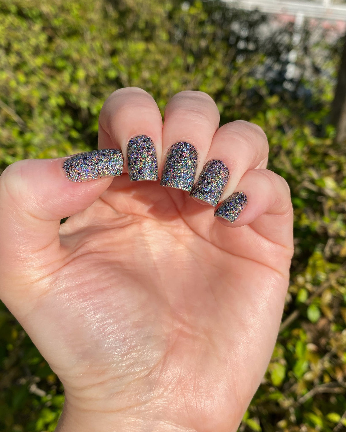 Phoenix- Paint the Town Red- Nosferatu