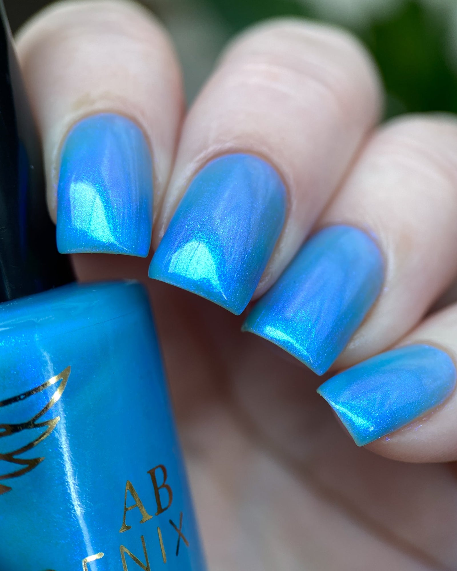 Phoenix- Paint the Town Red- Damon