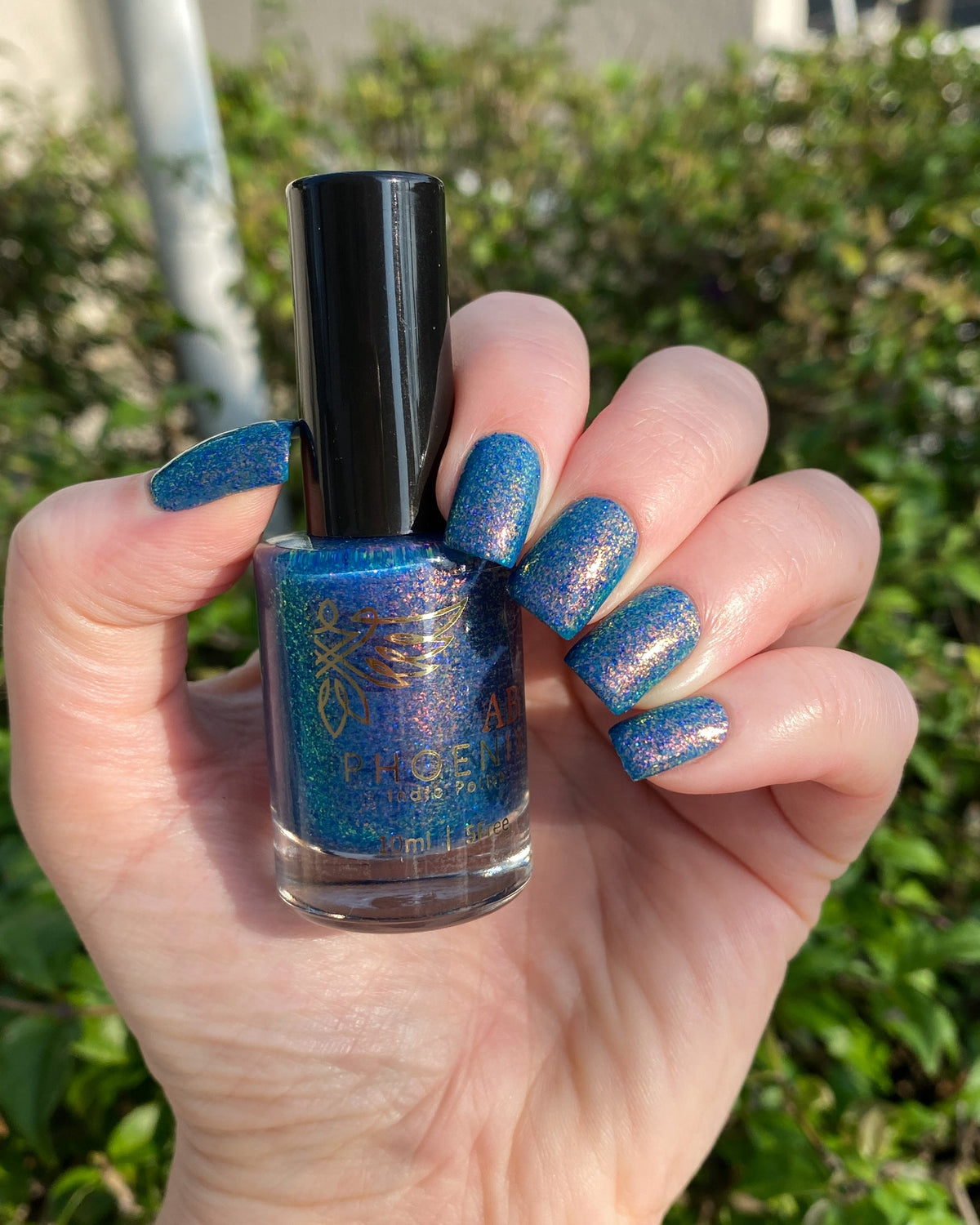 Phoenix- Paint the Town Red- Klaus