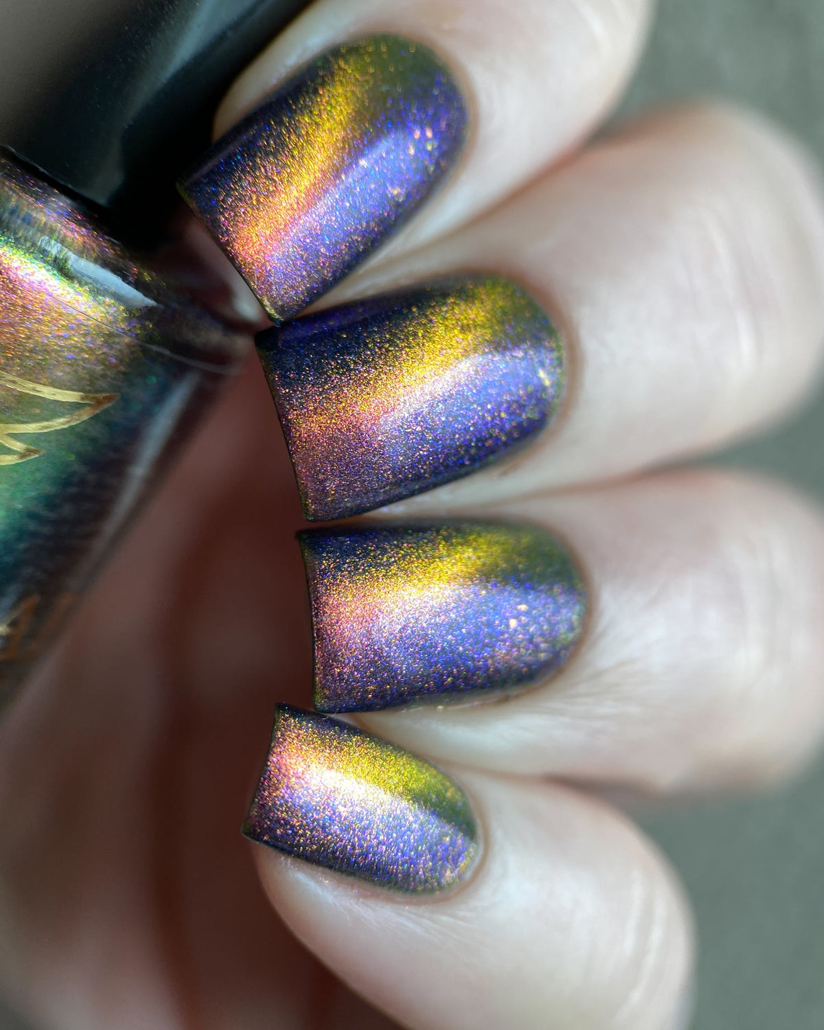 Phoenix- Paint the Town Red- Bill