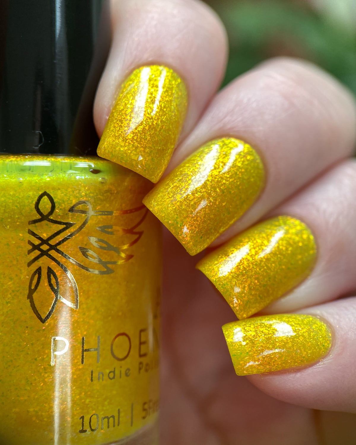 Phoenix- Paint the Town Red- Alice