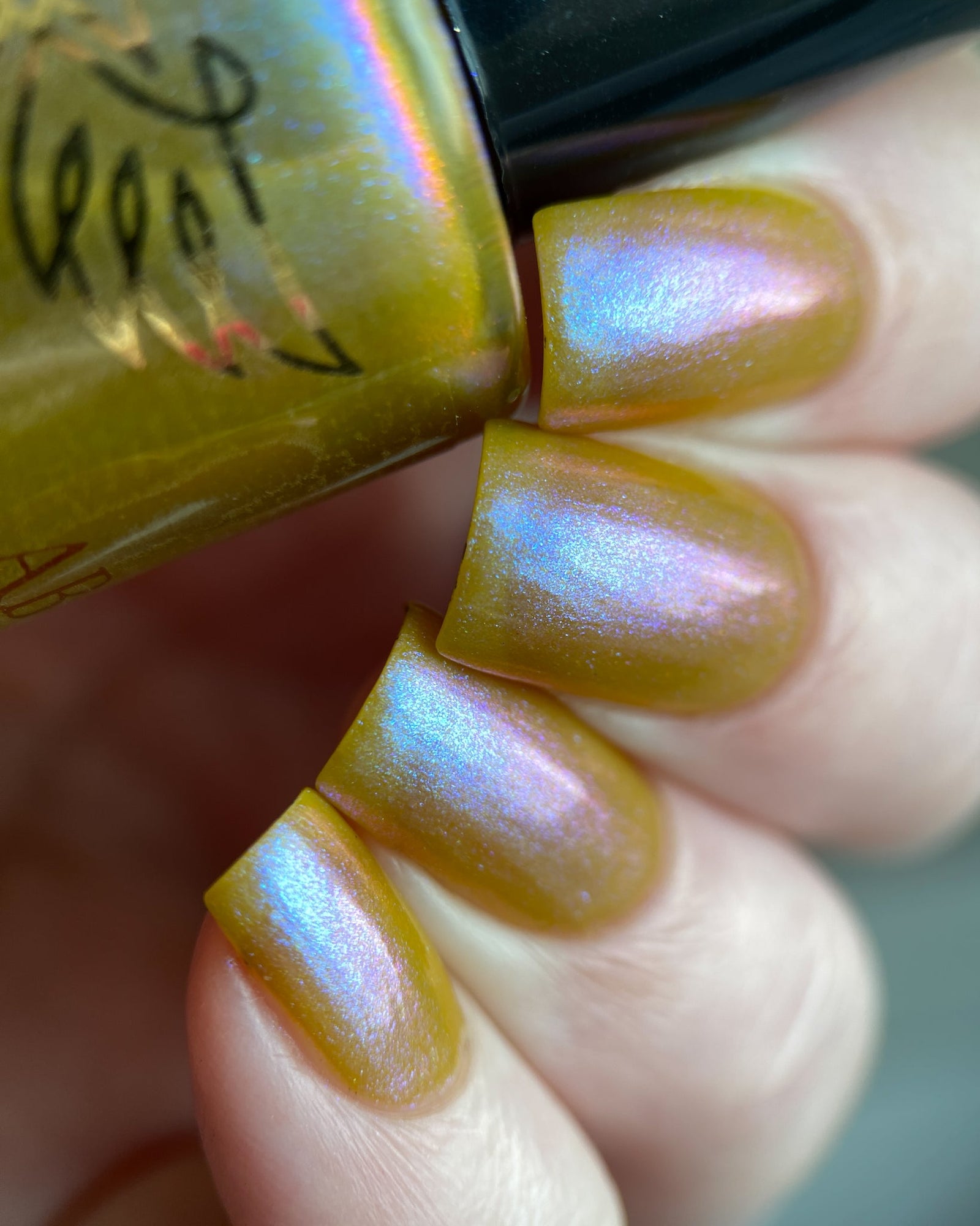 Phoenix- Paint the Town Red- Eric