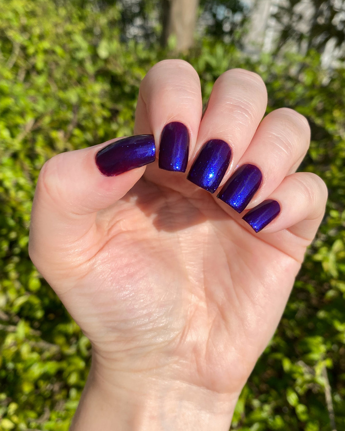 Phoenix- Paint the Town Red- Sellene