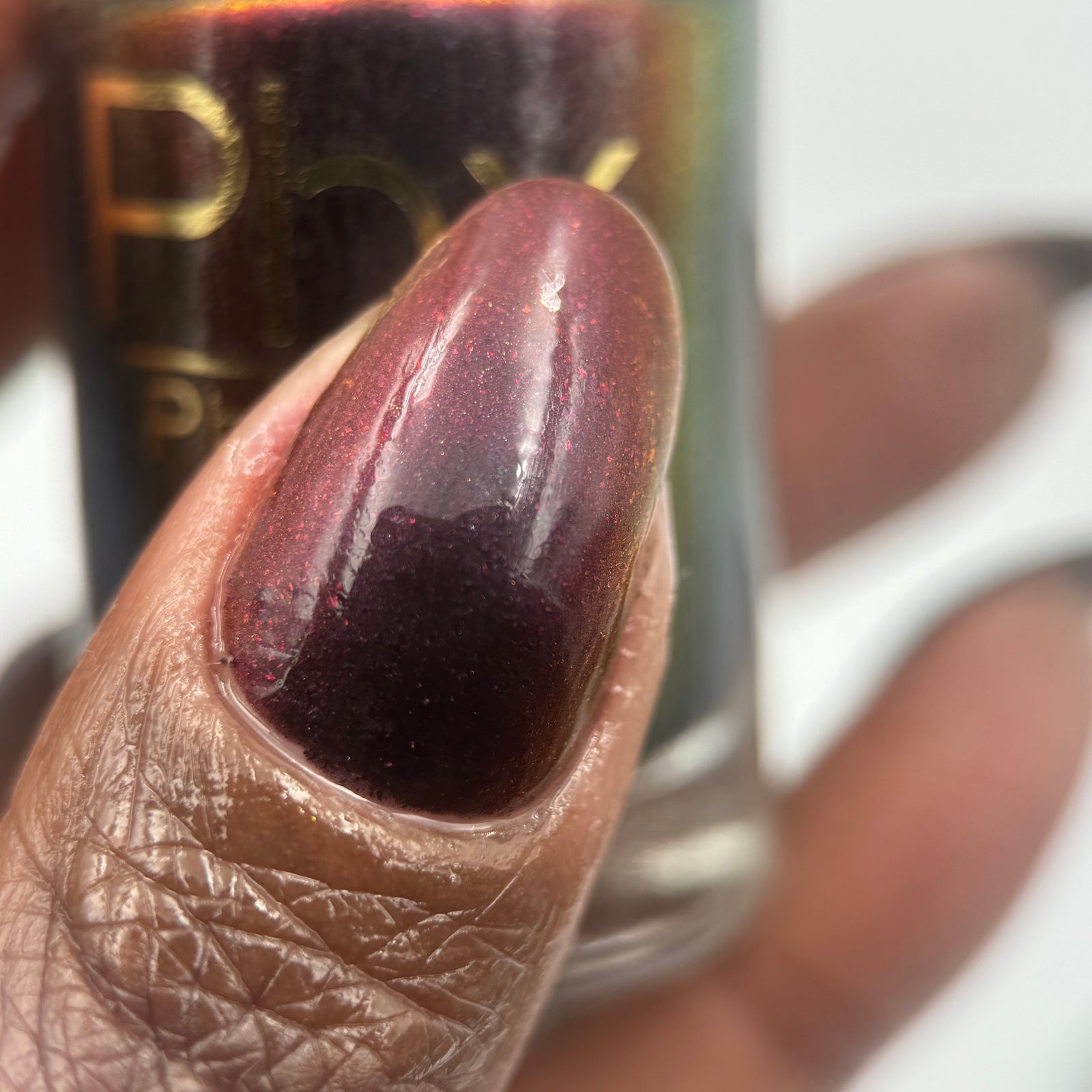 Phoenix- Hummingbirds- Florisuga Fusca