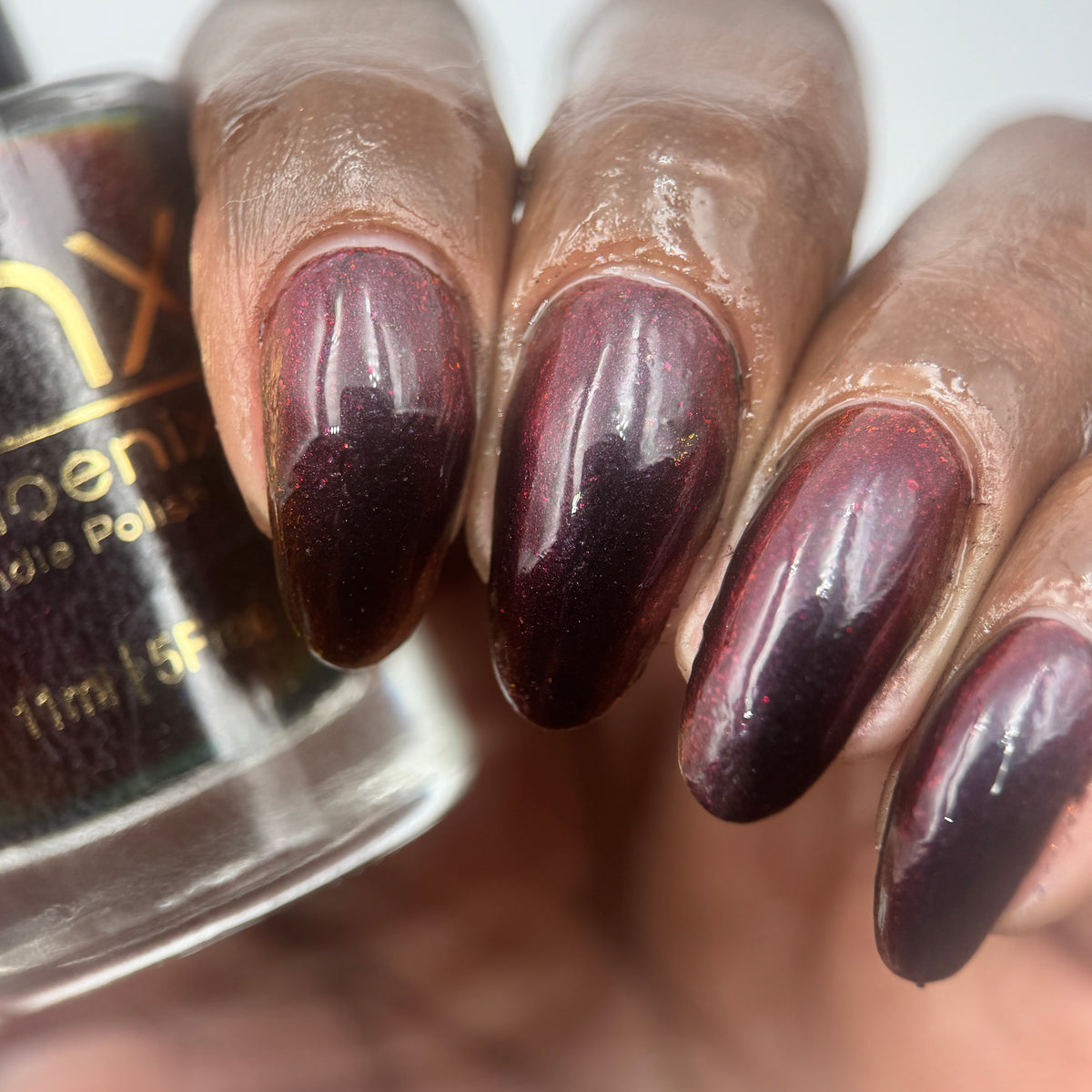 Phoenix- Hummingbirds- Florisuga Fusca