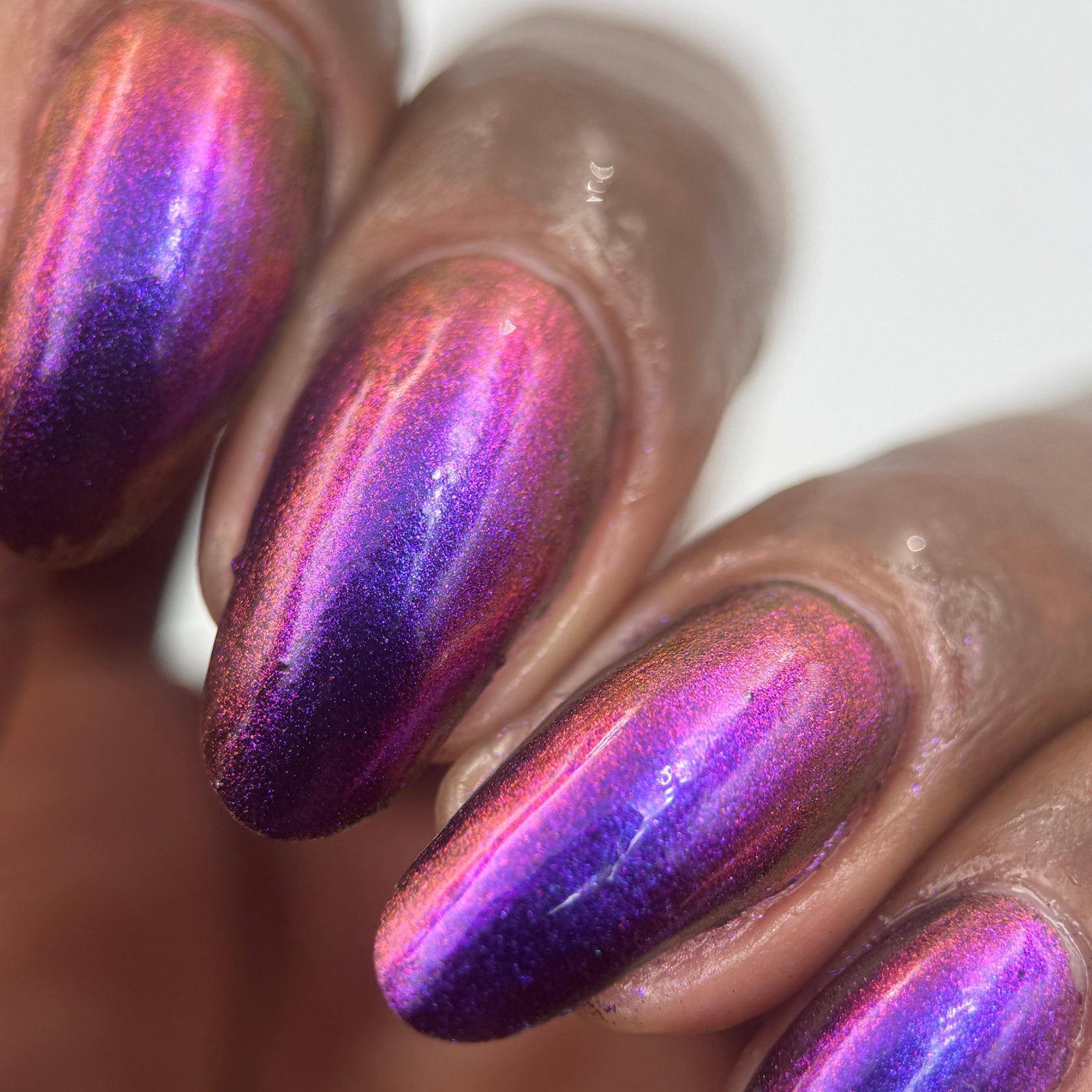 Phoenix- Hummingbirds- Costa's Hummingbird