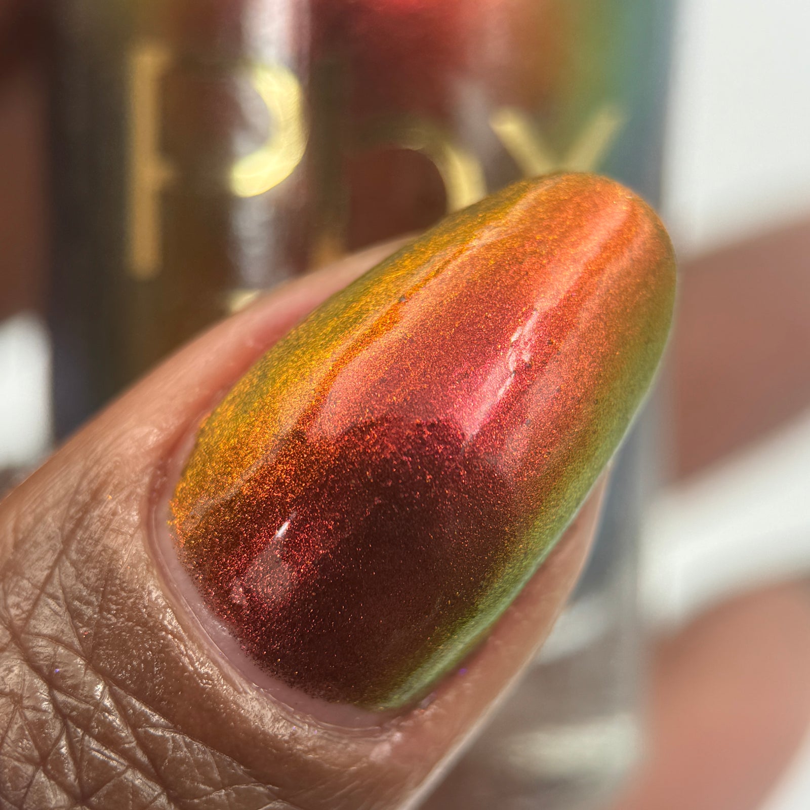 Phoenix- Hummingbirds- Stripe Tailed Hummingbird