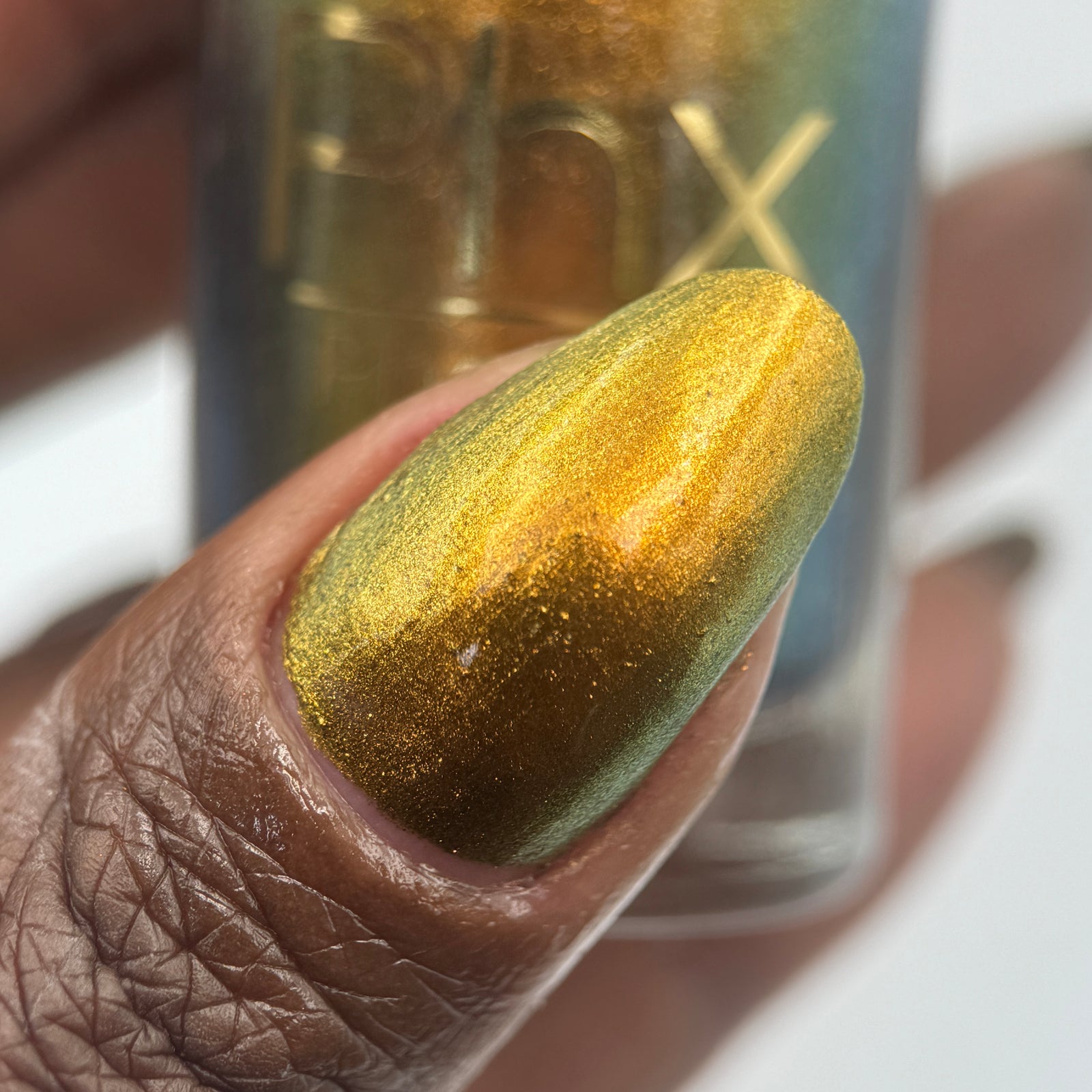 Phoenix- Hummingbirds- Golden Bellied Starfrontlet