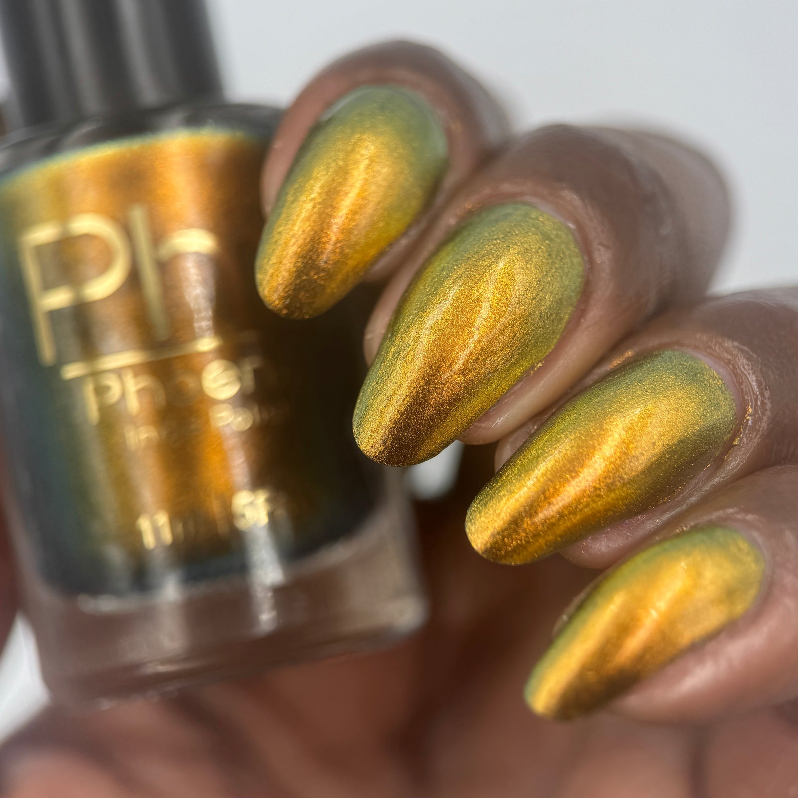 Phoenix- Hummingbirds- Golden Bellied Starfrontlet