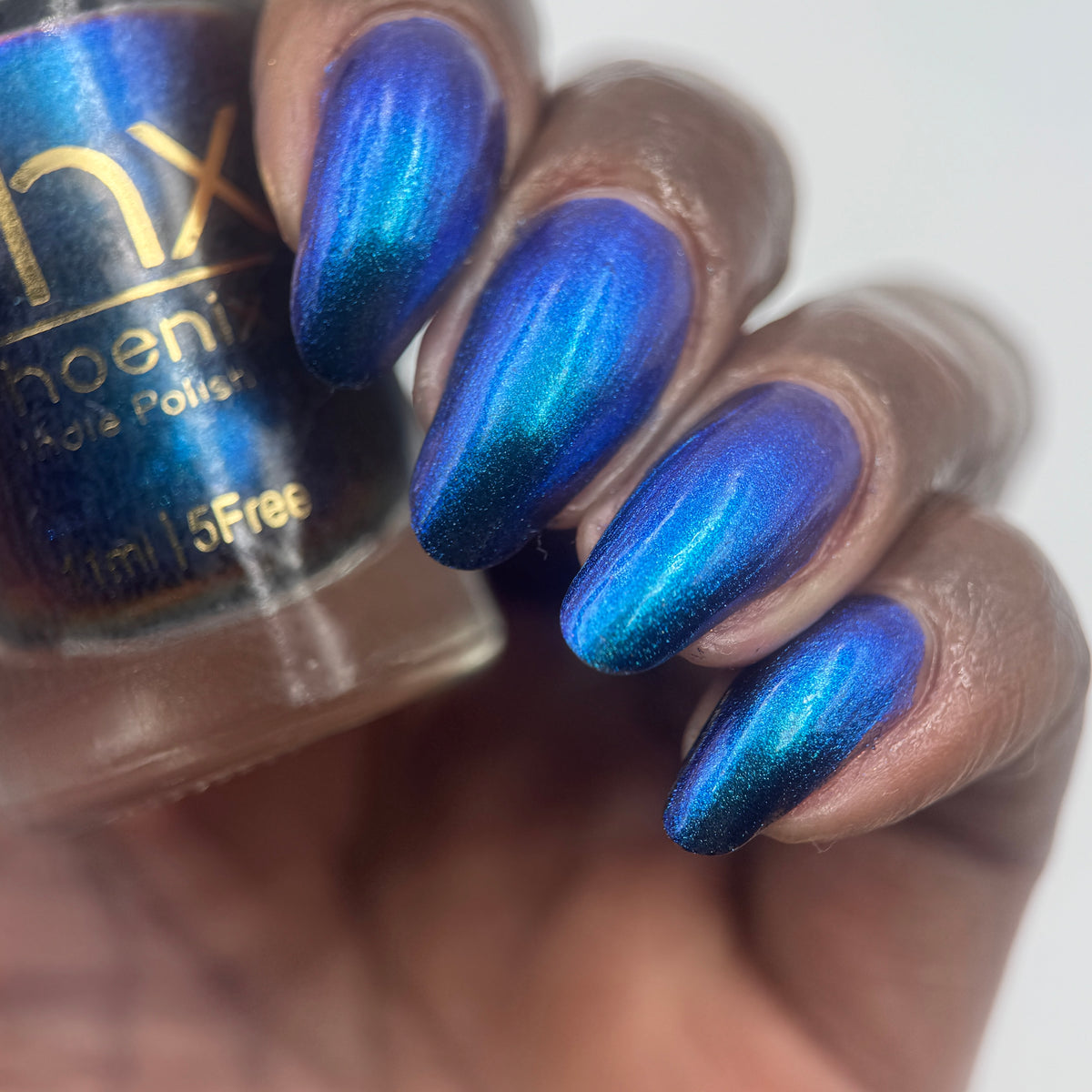 Phoenix- Hummingbirds- Florisuga Mellivora