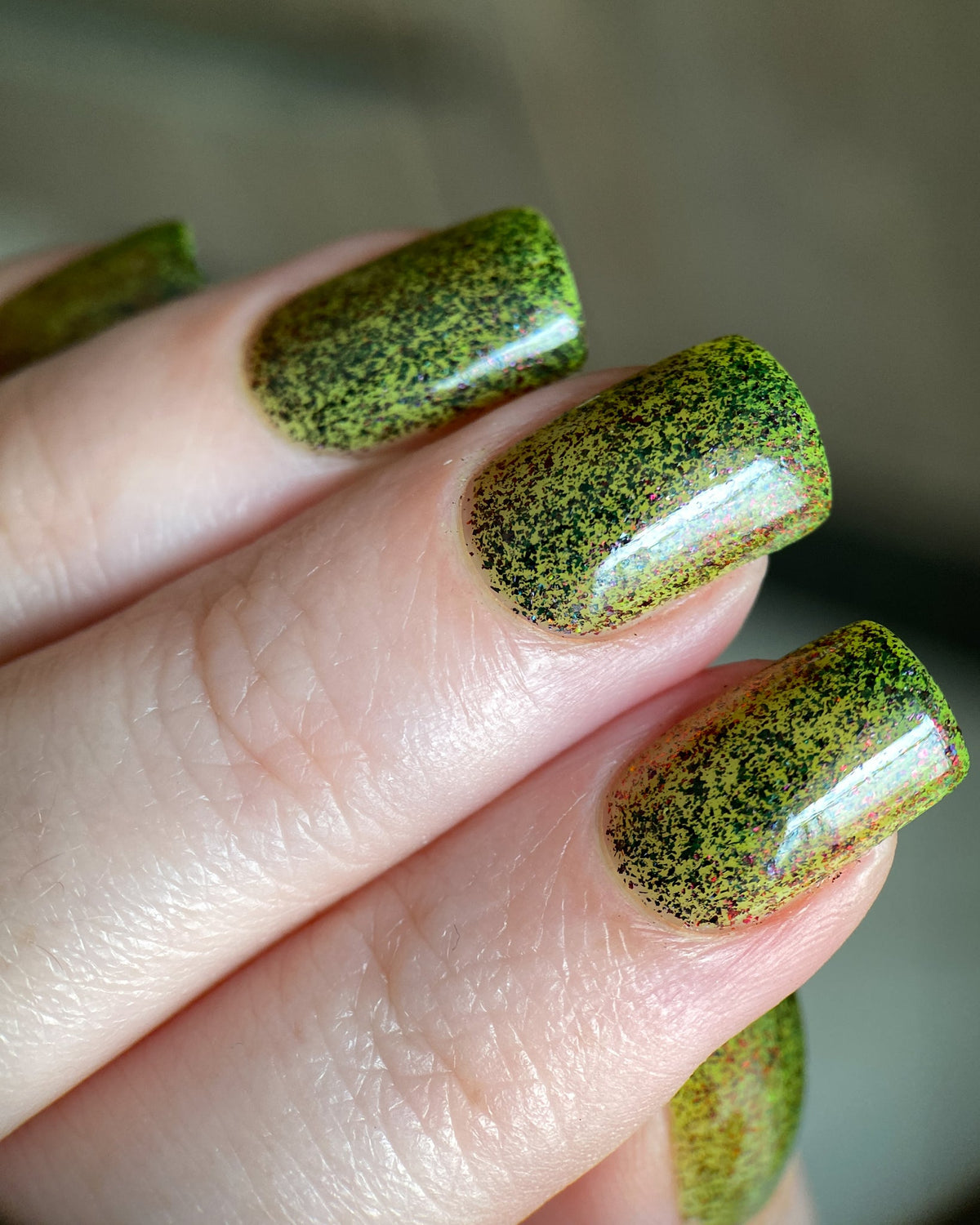 Phoenix- Paint the Town Red- Zé Vampir