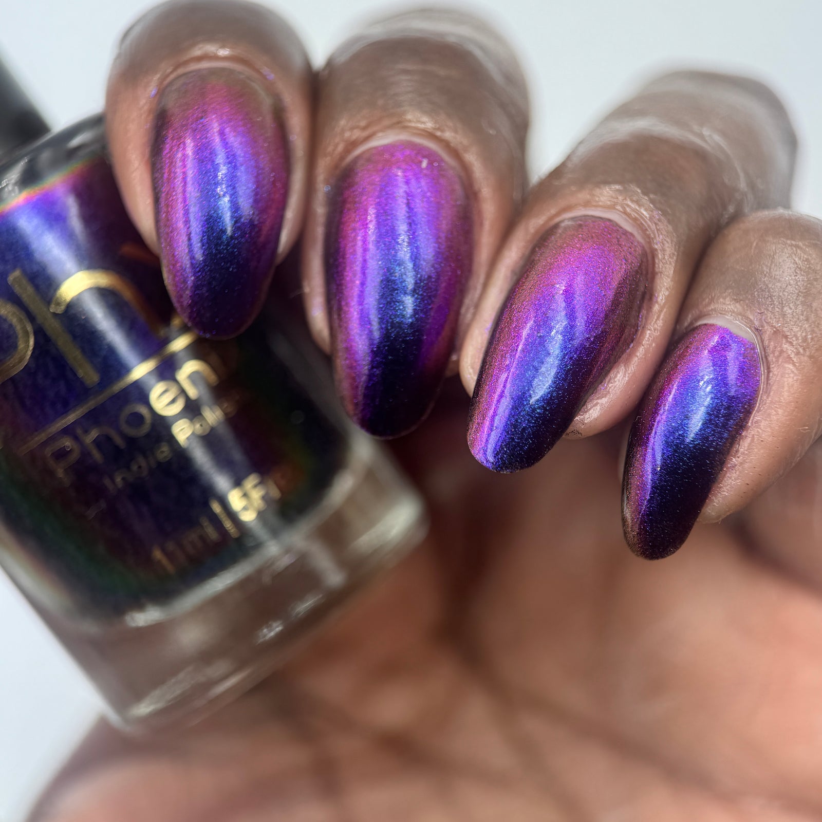 Phoenix- Hummingbirds- Garnet Throated Hummingbird