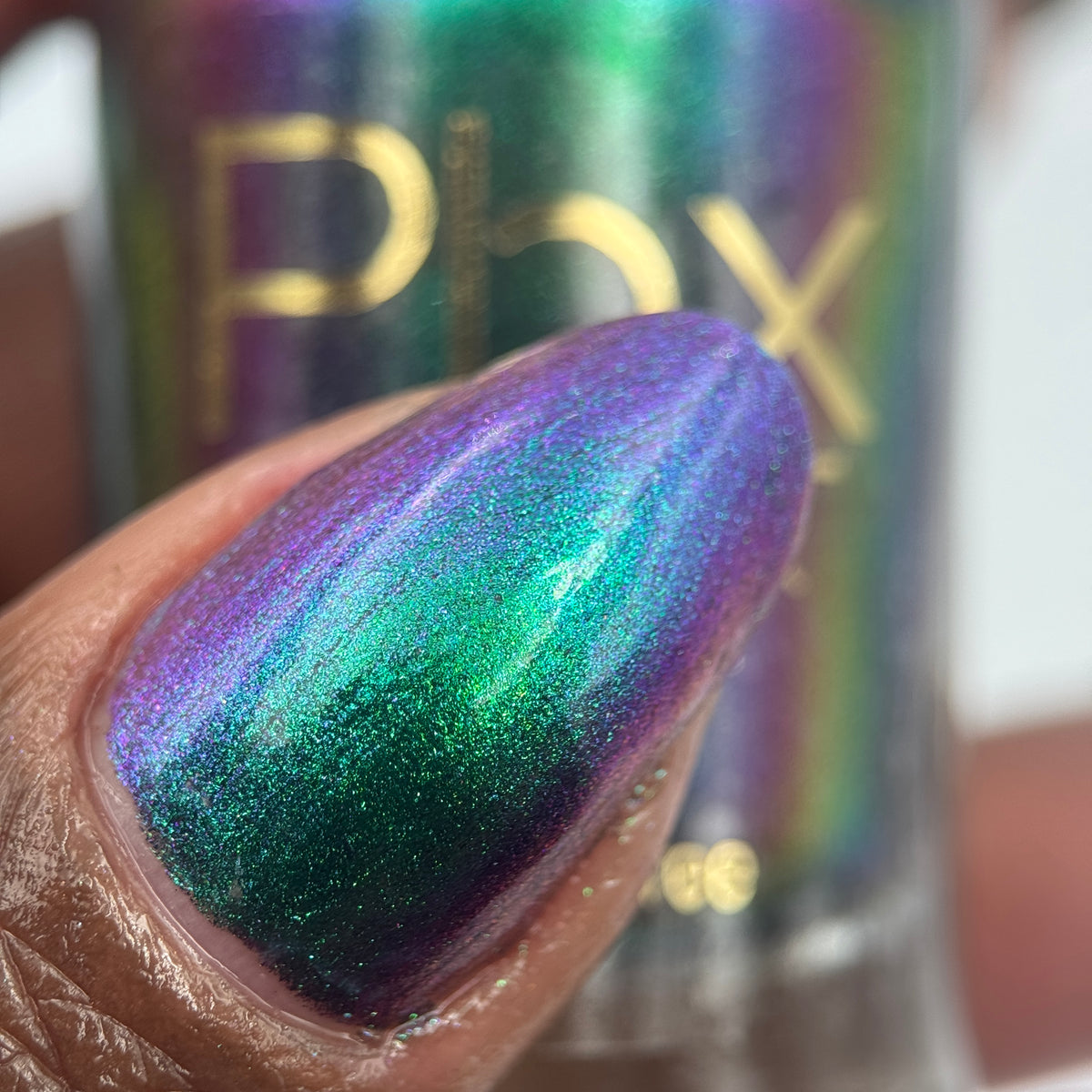 Phoenix- Hummingbirds- Violet Sabrewing Hummingbird