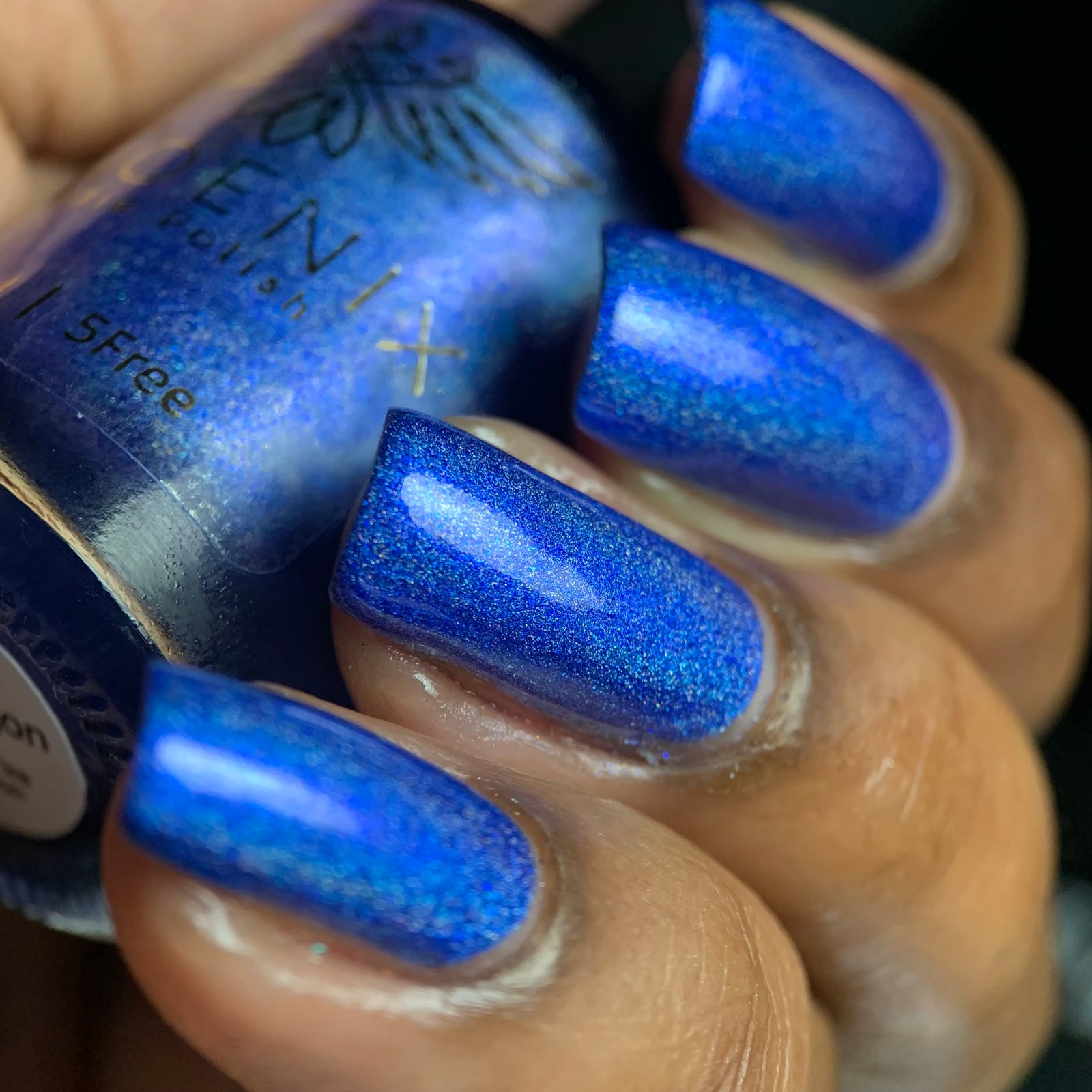 Phoenix- Blood and Fire- Ice Dragon