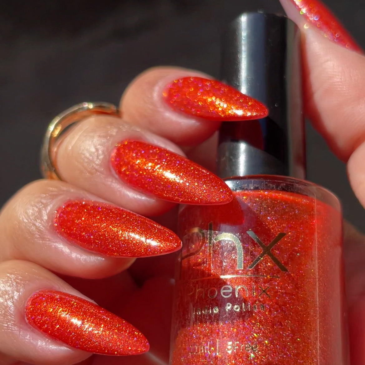 Phoenix- Light &amp; Shadow- Golden Guardian