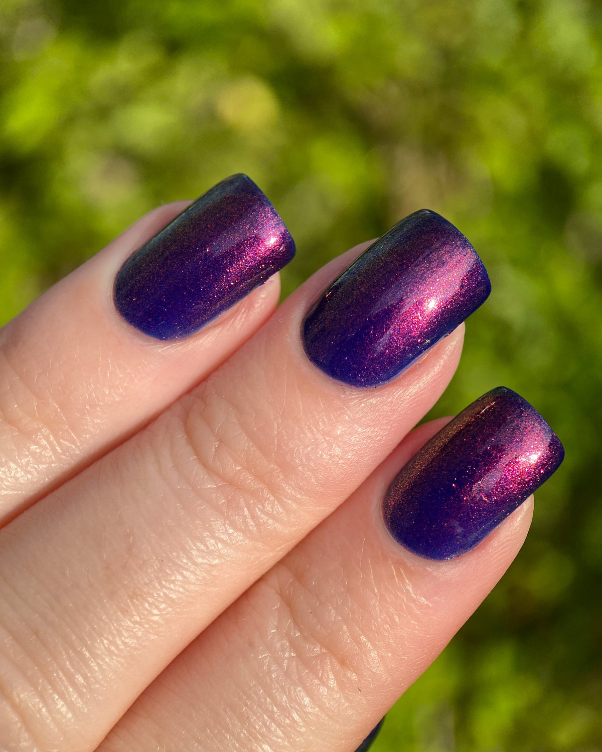 Phoenix- Paint the Town Red- Elijah