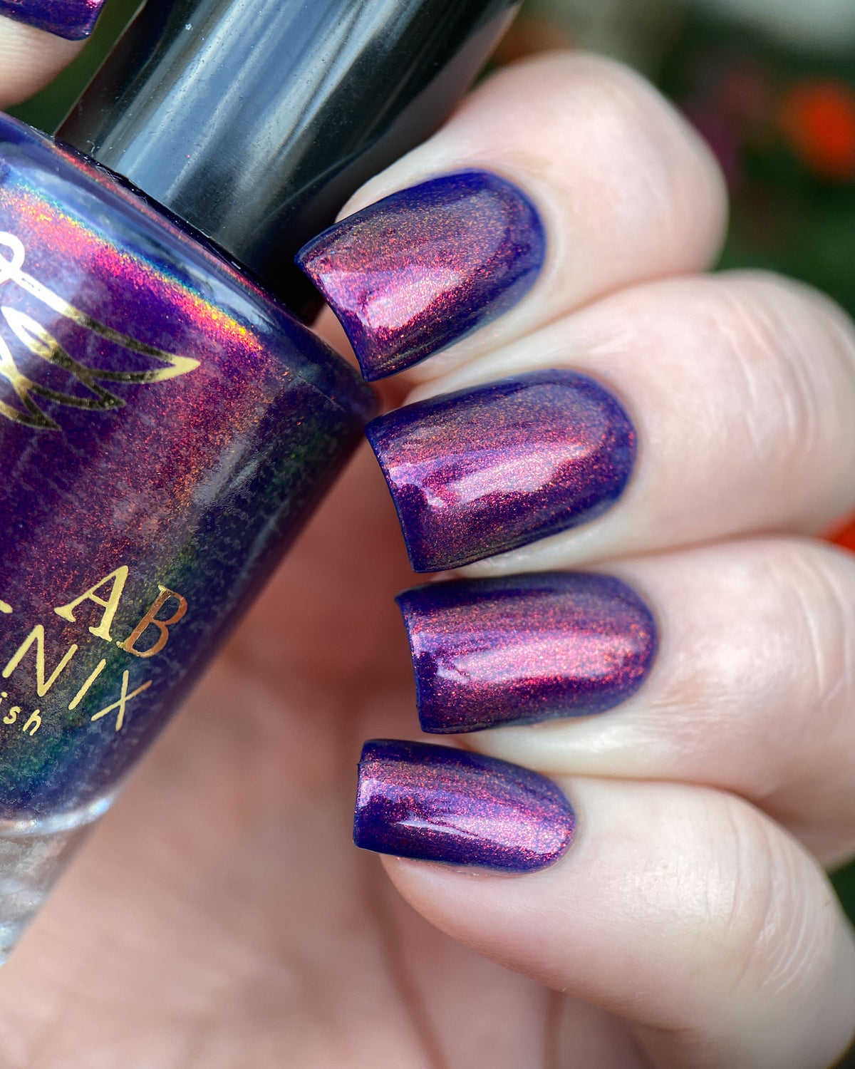 Phoenix- Paint the Town Red- Elijah