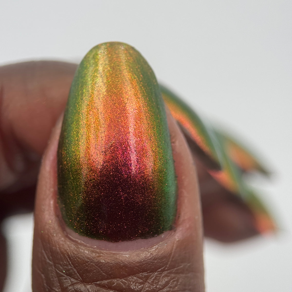 Phoenix- Hummingbirds- Allen&#39;s Hummingbird