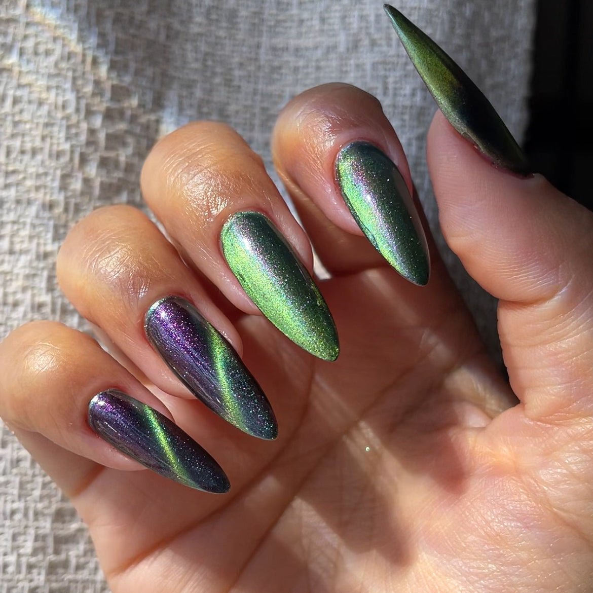 Phoenix- Light &amp; Shadow- Throne of Shadow