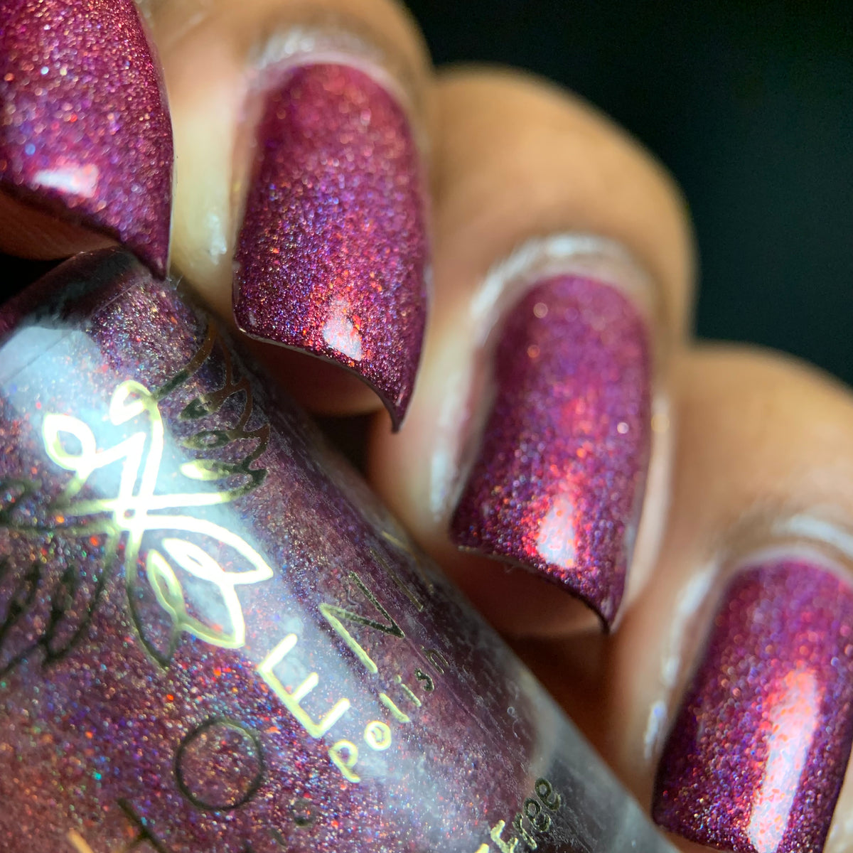 Phoenix- Blood and Fire- Caraxes