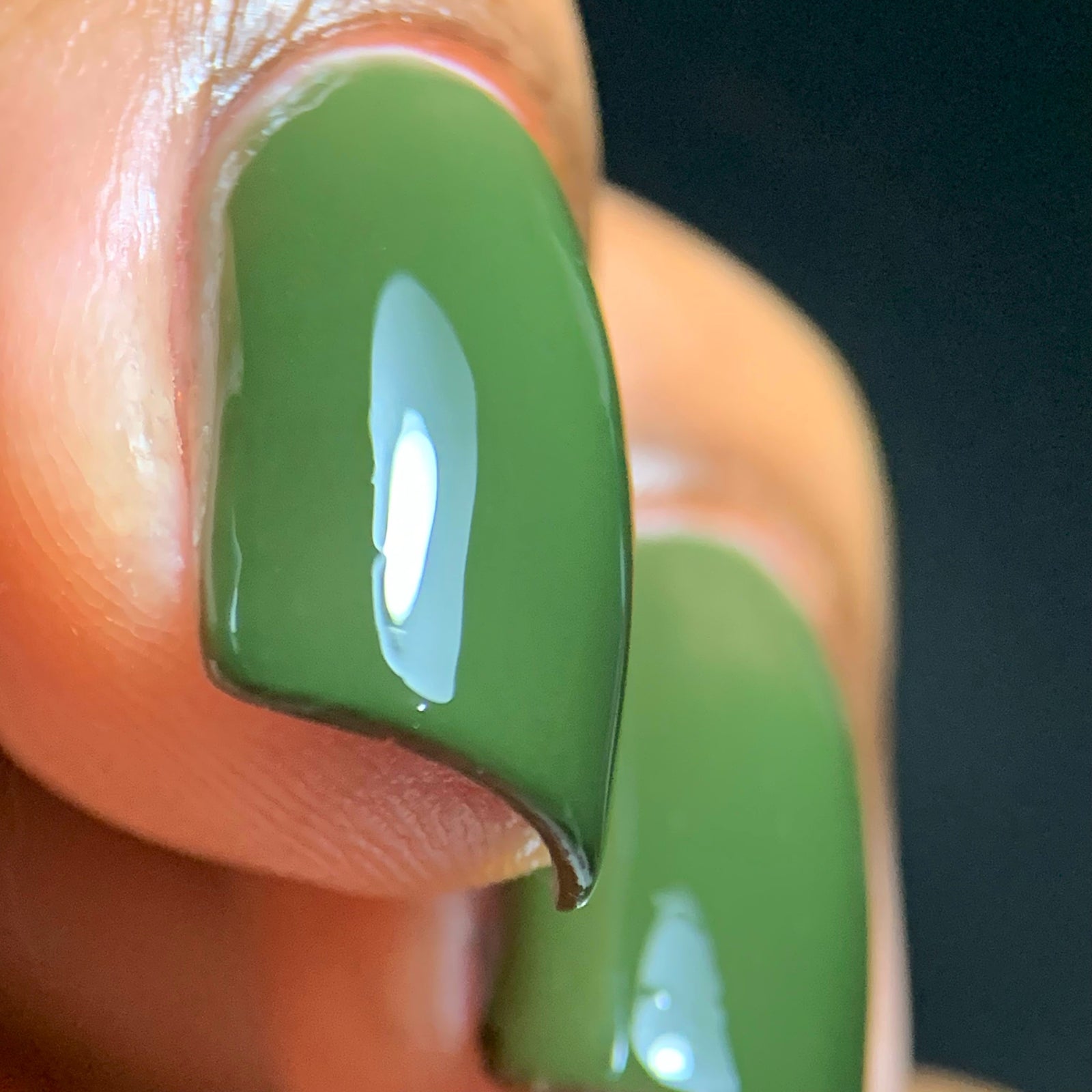 Phoenix- Blood and Fire- Laena