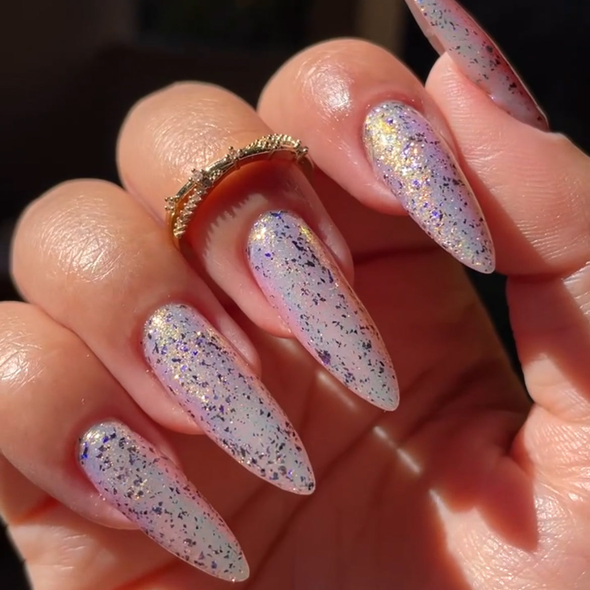 Phoenix- Light &amp; Shadow- Midnight Wings