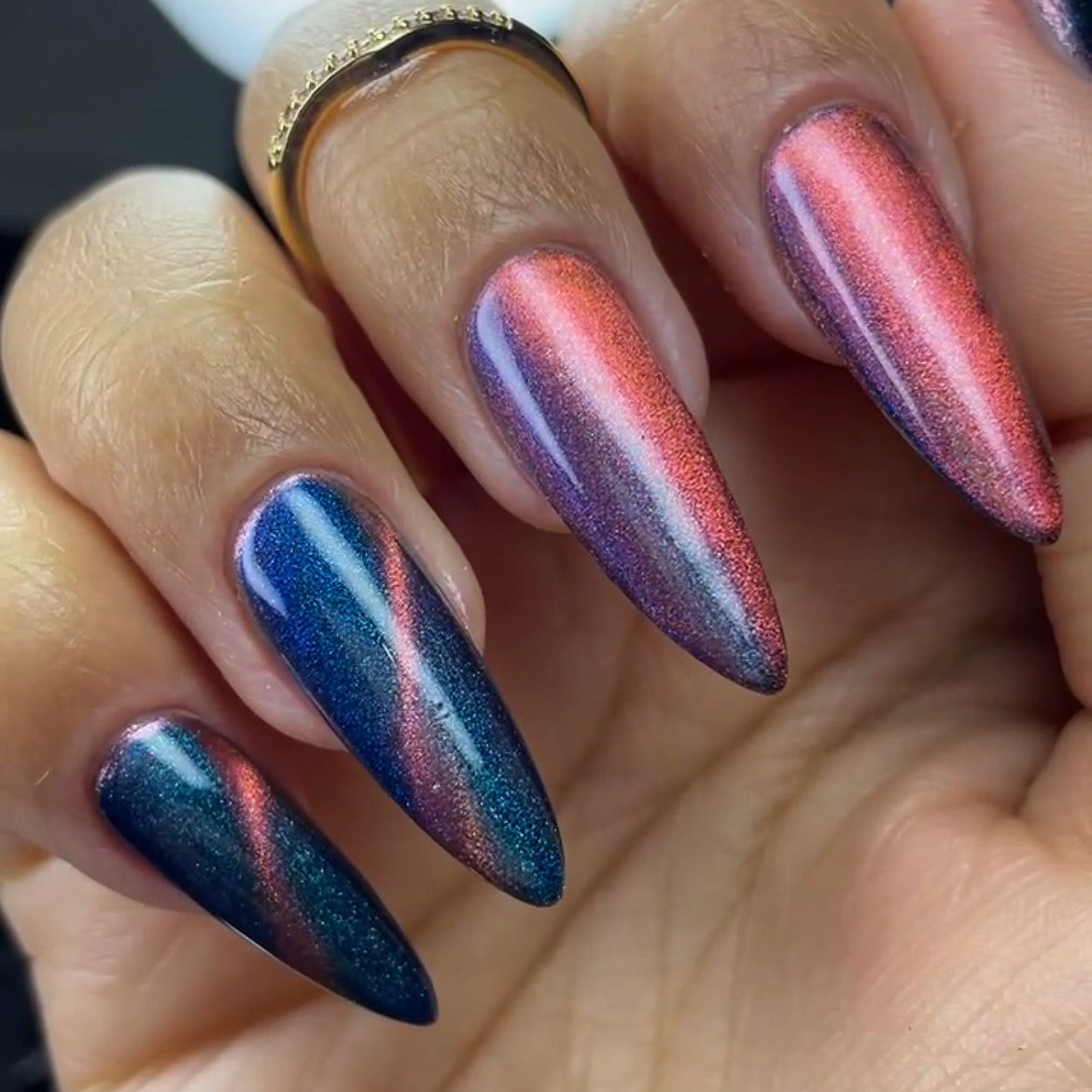 Phoenix- Light & Shadow- Primal Instinct