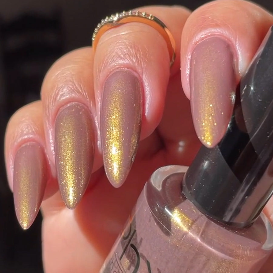 Phoenix- Light &amp; Shadow- Oracle&#39;s Heir