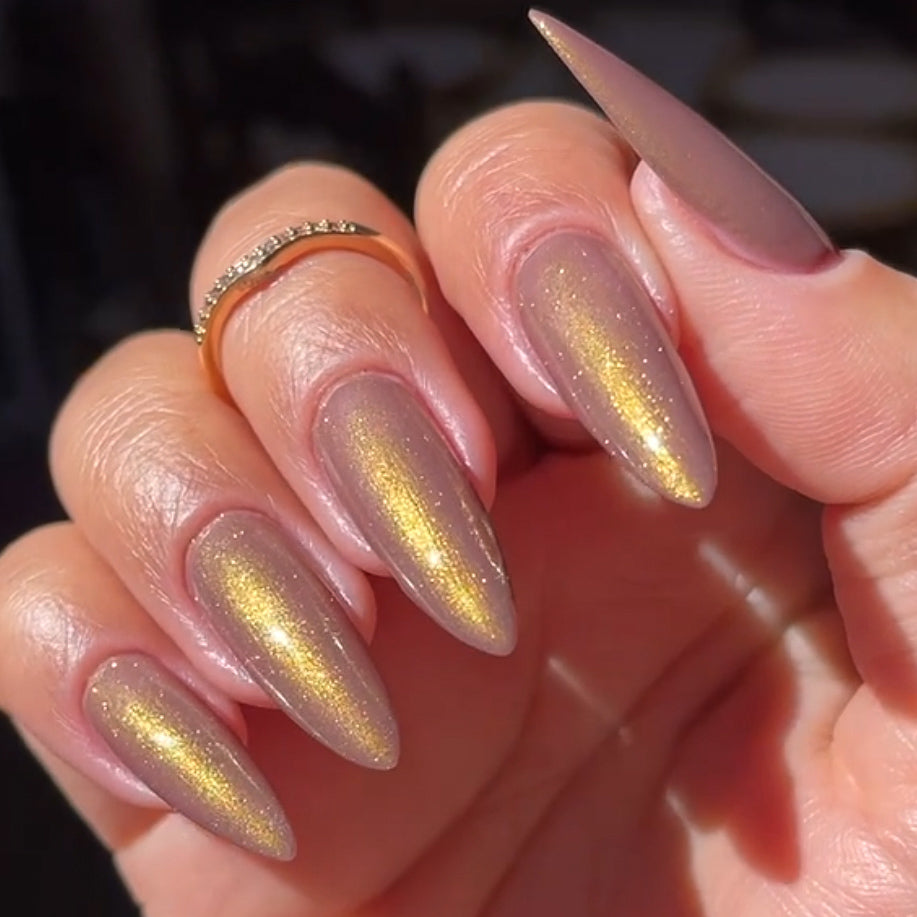 Phoenix- Light &amp; Shadow- Oracle&#39;s Heir