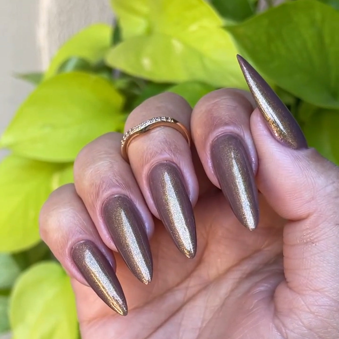 Phoenix- Light & Shadow- Oracle's Heir