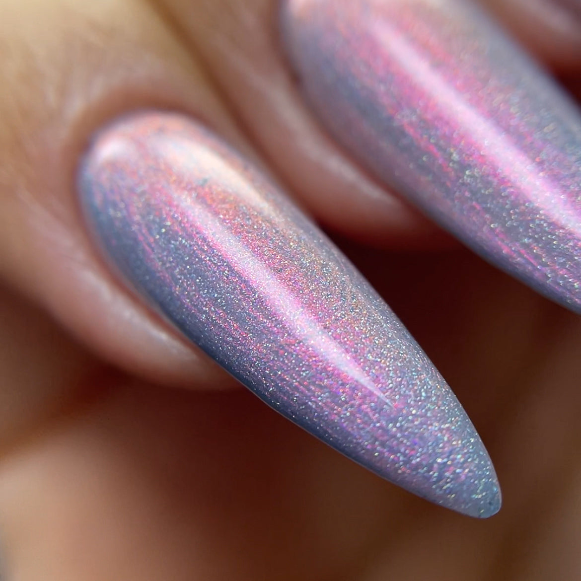 Phoenix- Light &amp; Shadow- Silent Light