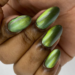 Phoenix- Light & Shadow- Throne of Shadow