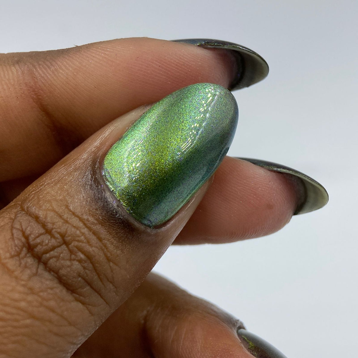 Phoenix- Light &amp; Shadow- Throne of Shadow