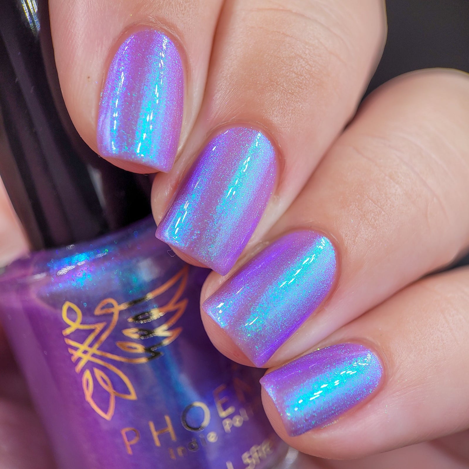 Phoenix- Paint the Town Red- Bella