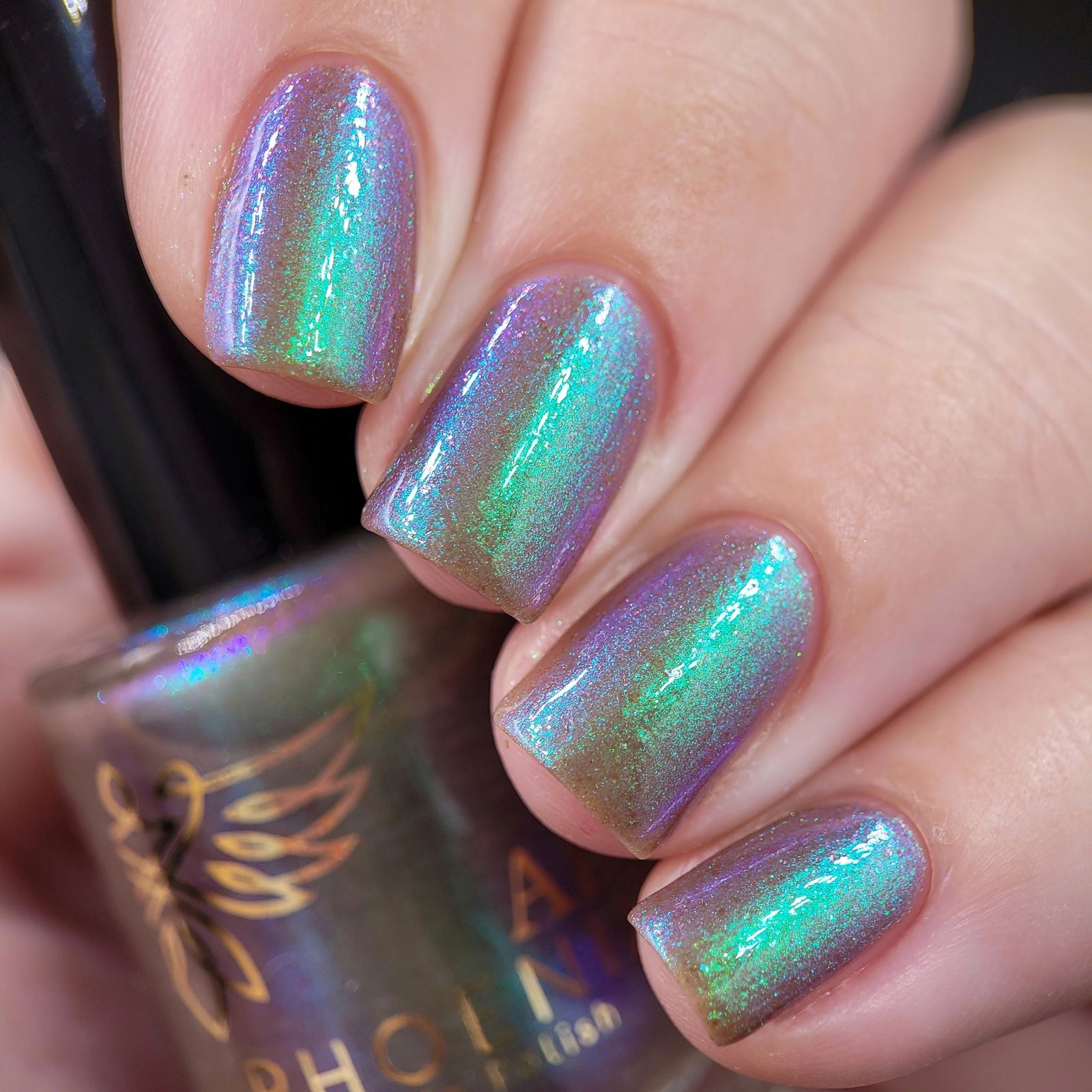 Phoenix- Paint the Town Red- Stefan