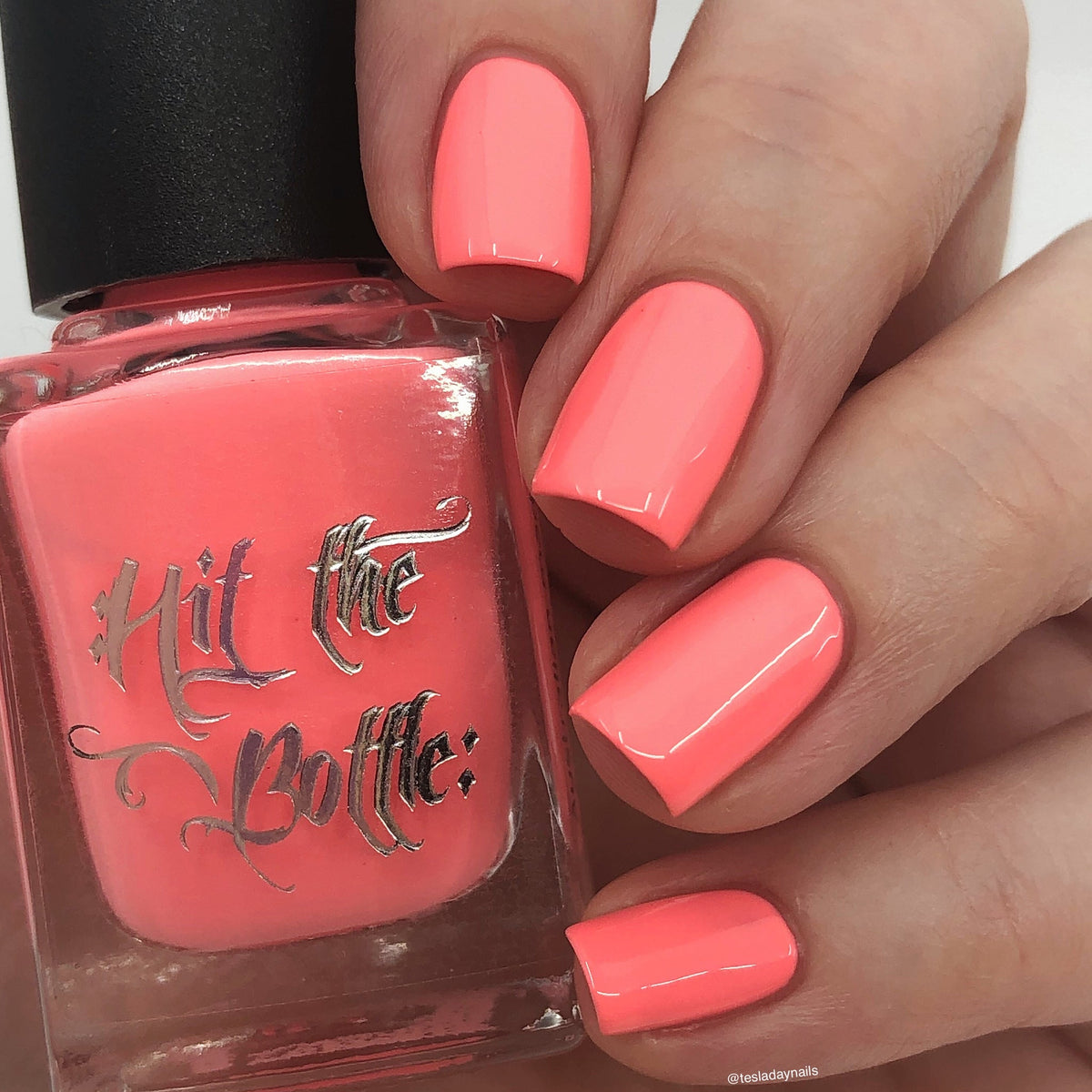 Hit the Bottle- Follow Your Dreams- Coral Catnaps