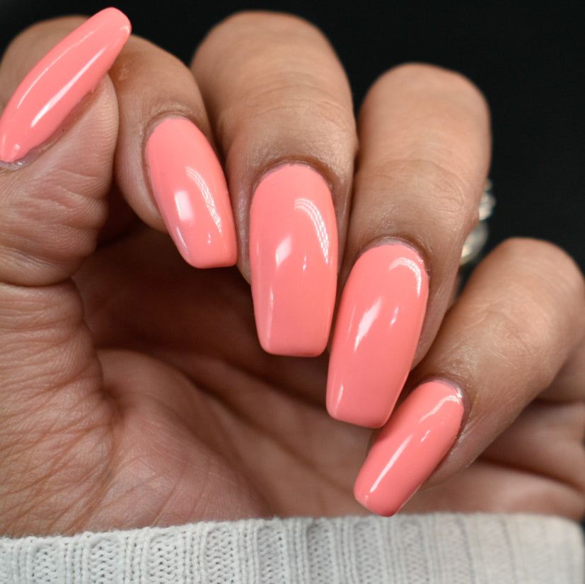 Hit the Bottle- Follow Your Dreams- Coral Catnaps