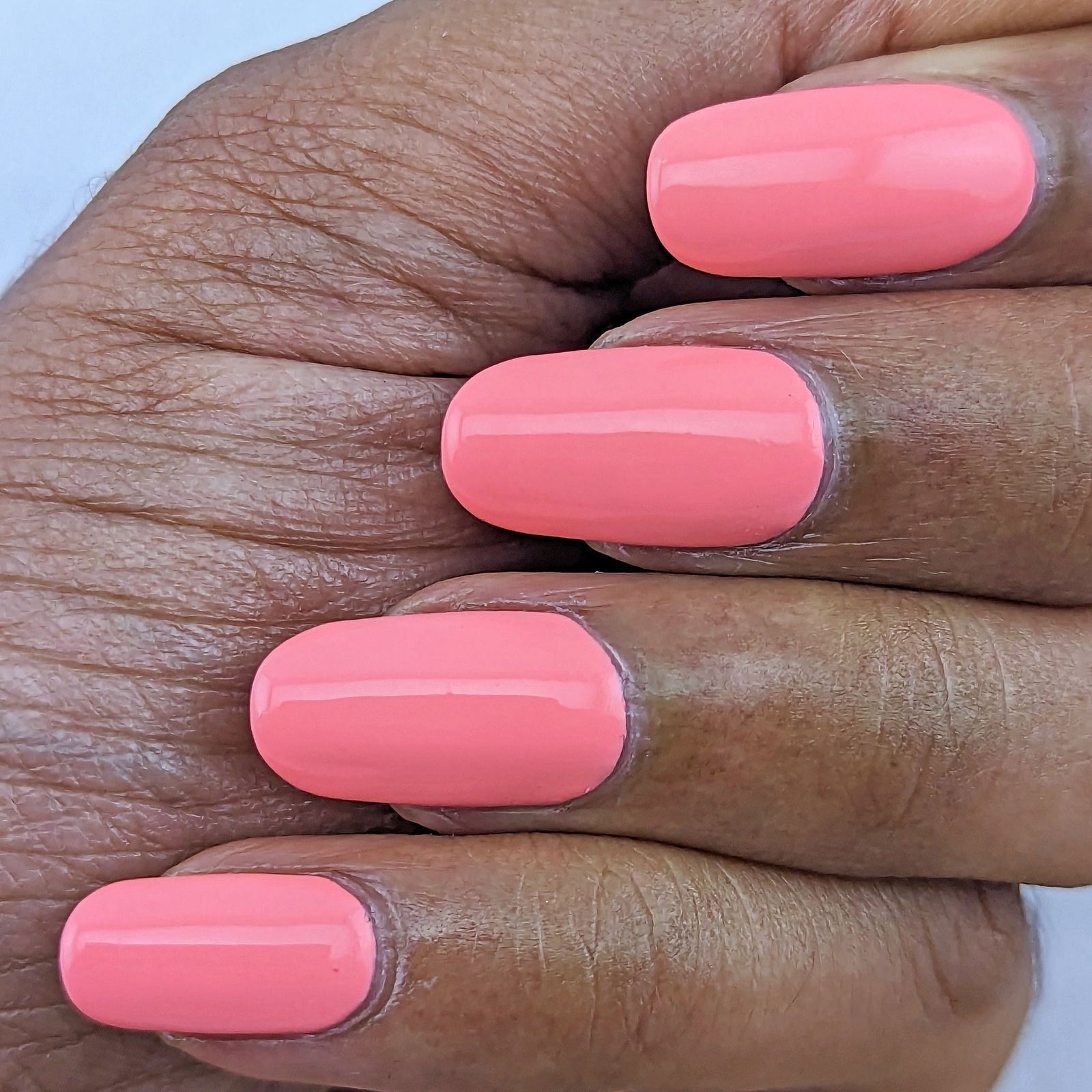 Hit the Bottle- Follow Your Dreams- Coral Catnaps