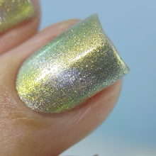 By Dany Vianna- Gossamer Wings- Tiger Swallowtail