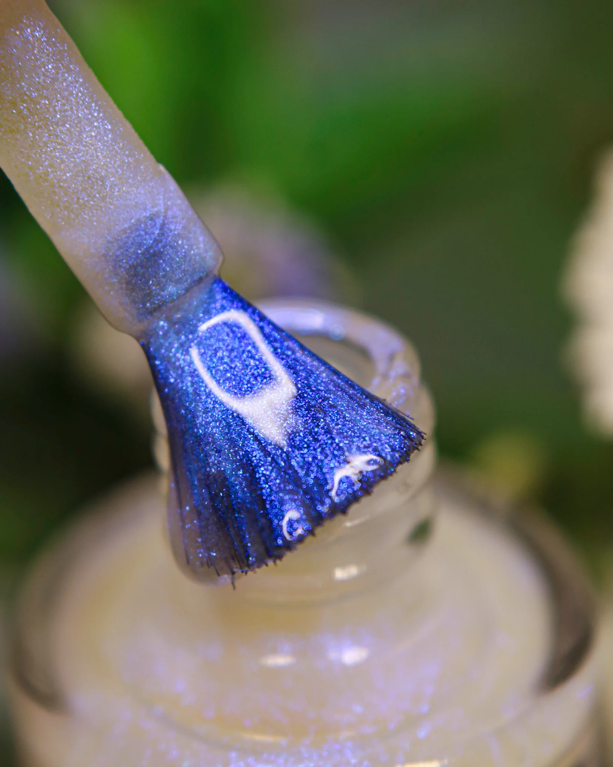 By Dany Vianna- Gossamer Wings- Blue Morpho