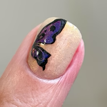 By Dany Vianna- Gossamer Wings- Glasswing