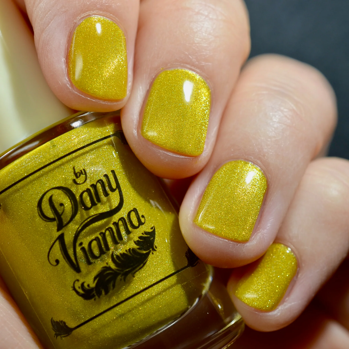 By Dany Vianna- Wicked for Good- Yellow Brick Road