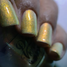 By Dany Vianna- Gossamer Wings- Glasswing