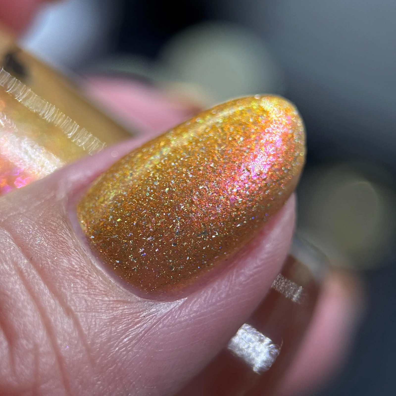 By Dany Vianna- Wicked for Good- The Most Scandalocious Fish in the Sea