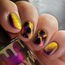 DVW- Wonka- A Magician