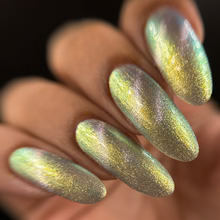 By Dany Vianna- Gossamer Wings- Tiger Swallowtail