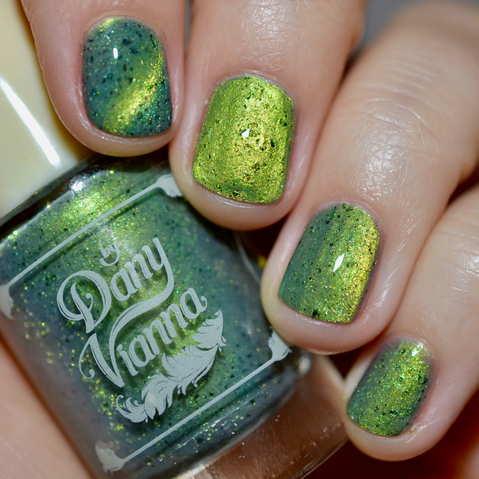 By Dany Vianna- Wicked for Good- Unlimited