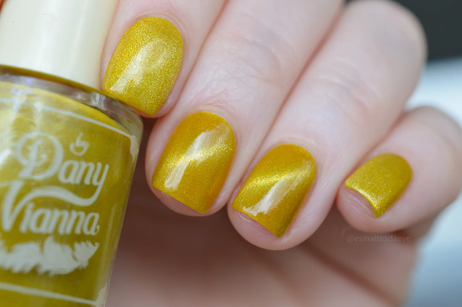 By Dany Vianna- Wicked for Good- Yellow Brick Road